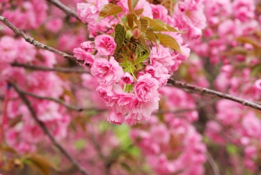 苏州太仓5线下个人借款平台一站式服务，轻松解决资金难题