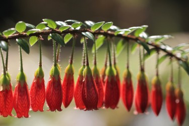 苏州太仓5零用贷短借：轻松解决临时资金需求