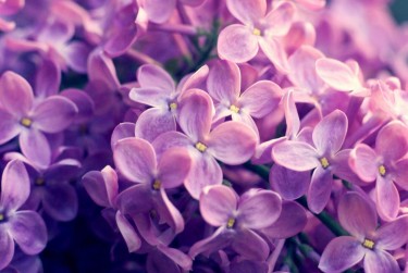 苏州太仓5企业急用钱贷款攻略：快速融资解燃眉之急